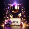user72009946210220