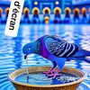 moussa577357