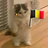 lilou_belge