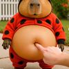 greasy_burito