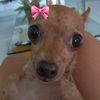izzy82739
