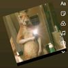 user2978808708824