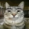 eggbrain5