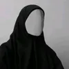 zianeb.alaa