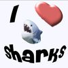 sh4rkyyx.00