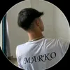 lnf_felix