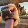 rumizz11