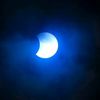 luna1234809