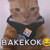 haical_9r
