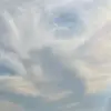 scorpionfc00
