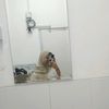 najibun2922
