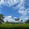 adminkita_023