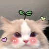 ceryberry_