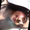 michellesolisirineo7