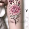 jean.desu6
