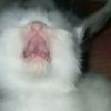 myraaaciiii
