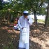 agung.imam42