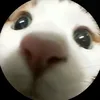 yeuesaochovua