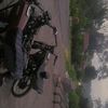 banditkecil806