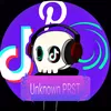 unknownprst13