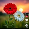md.saidul.islam9246
