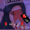 user269327677943