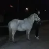 rikardo.berki65