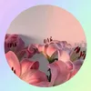 5starr_agi17