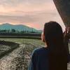 jiryzatasin2