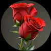 zidi.giral884