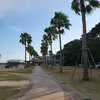 eternalspring0227