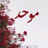 مـــــوحـــــــد | 1425