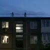 bug4ra_