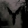 im_not_love_you