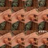 raysa.ok4