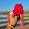 tunisvoice6