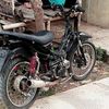 bontang081