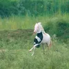tiktok.comab15