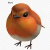 darwin (biurd)