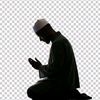 user87816770070082