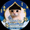 fahmi_not_bad