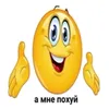 radmir378