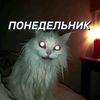 evo_4ka72