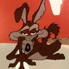 roadrunnermimi