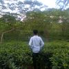 md.saharyauser1