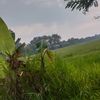wildan.saputra5841