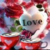 user144621836678