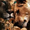 deonlouw817