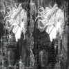 .katewz