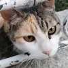 zoe55018